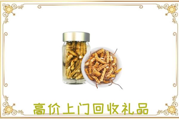 石峰周边回收虫草